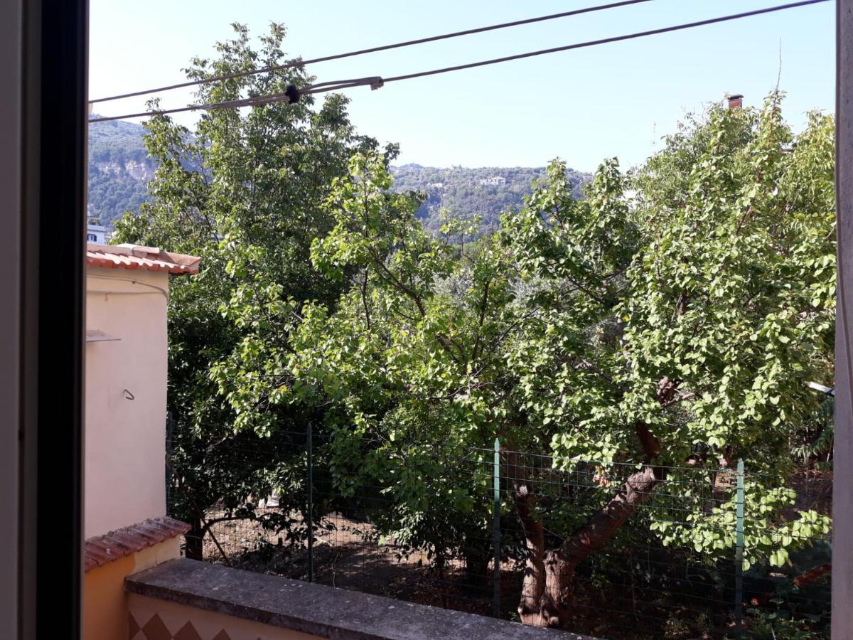 Rita Flat Apartamento Sorrento Exterior foto